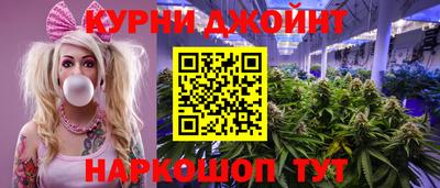 стаф Будённовск