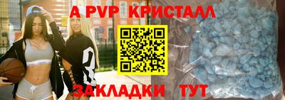 стаф Будённовск