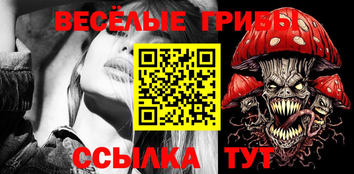 Галлюциногенные грибы Psilocybine cubensis  хочу   Псилоцибиновые грибы Psilocybe  Мценск  Вход с VPN 