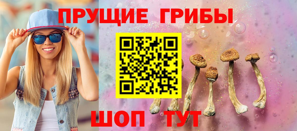 Галлюциногенные грибы MAGIC MUSHROOMS Мценск
